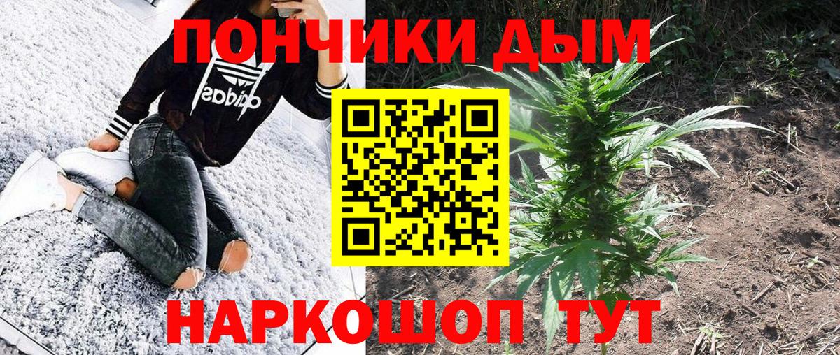 Каннабис семена  Канабис Bruce Banner  Печора  Конопля гибрид  Вход с VPN 